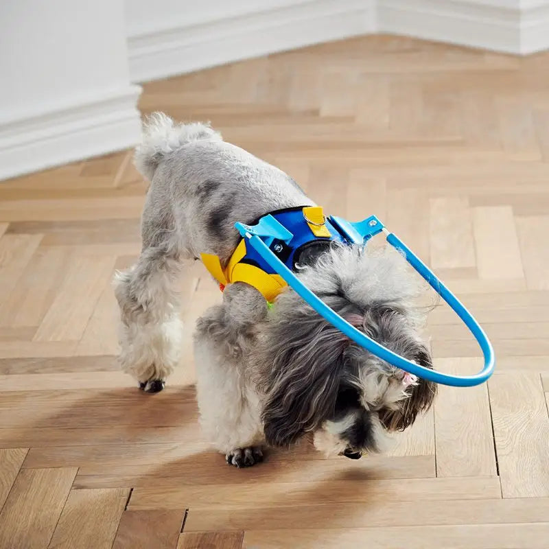 Adjustable Blind Dog Harness