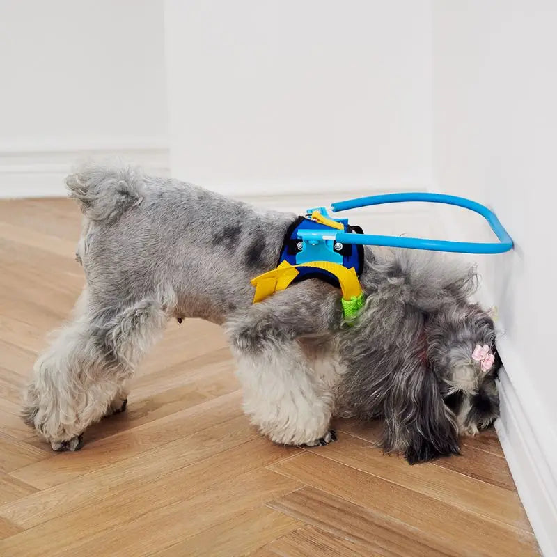 Adjustable Blind Dog Harness