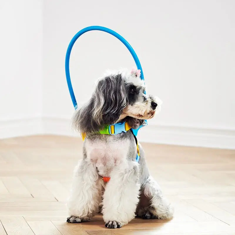 Adjustable Blind Dog Harness
