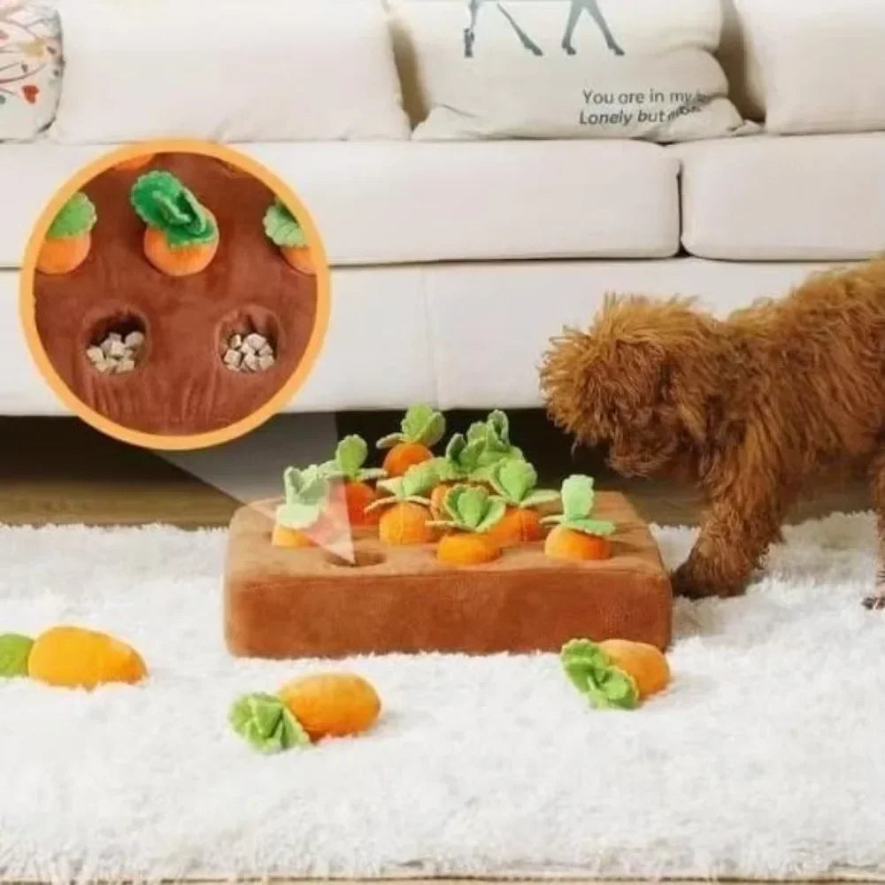 Carrot Snuffle Mat Toy