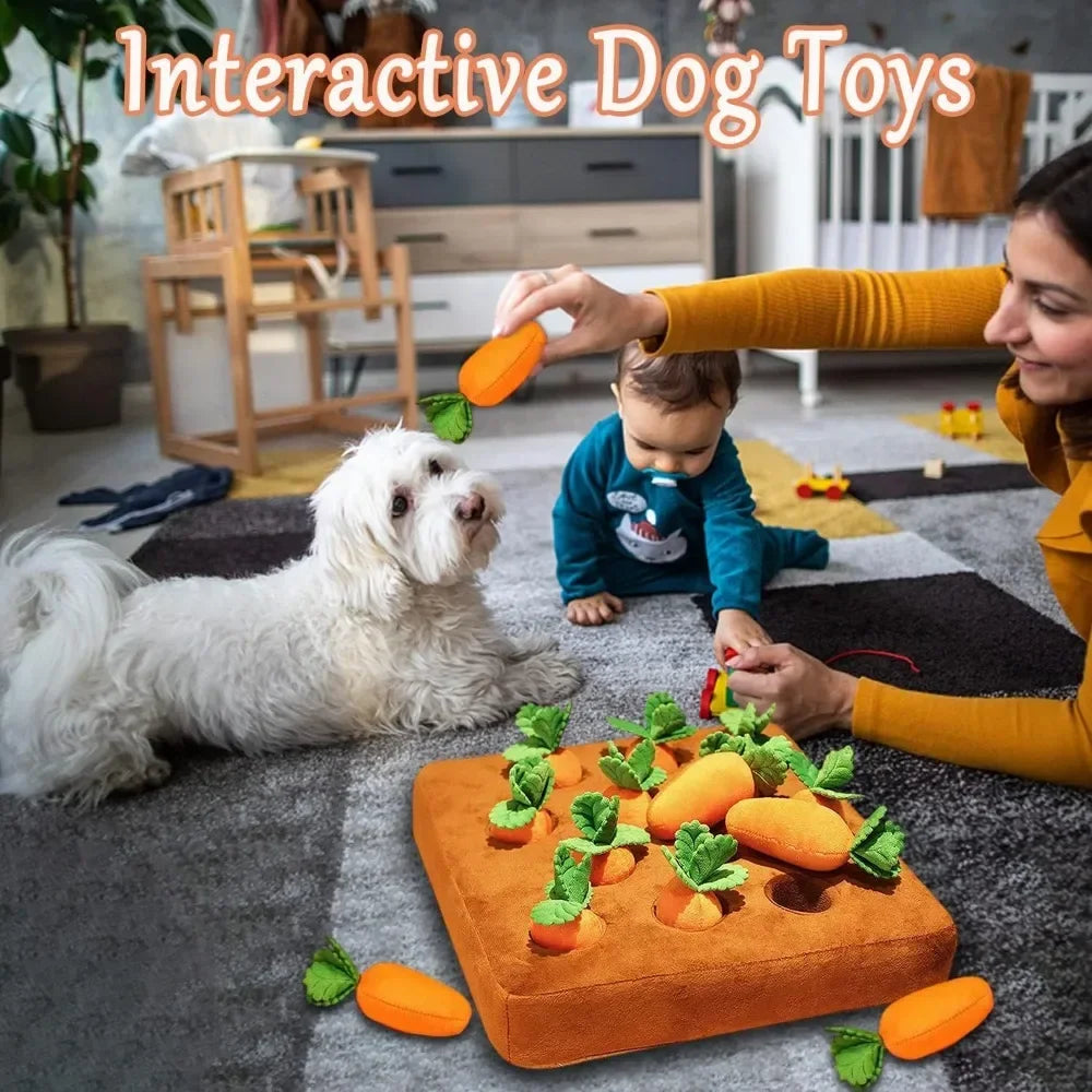 Carrot Snuffle Mat Toy