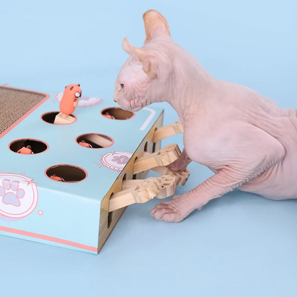 Cute Cat Hamster Toy
