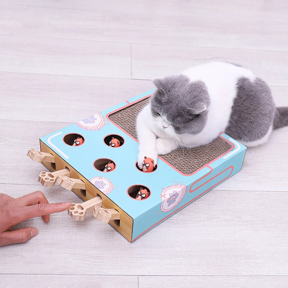 Cute Cat Hamster Toy
