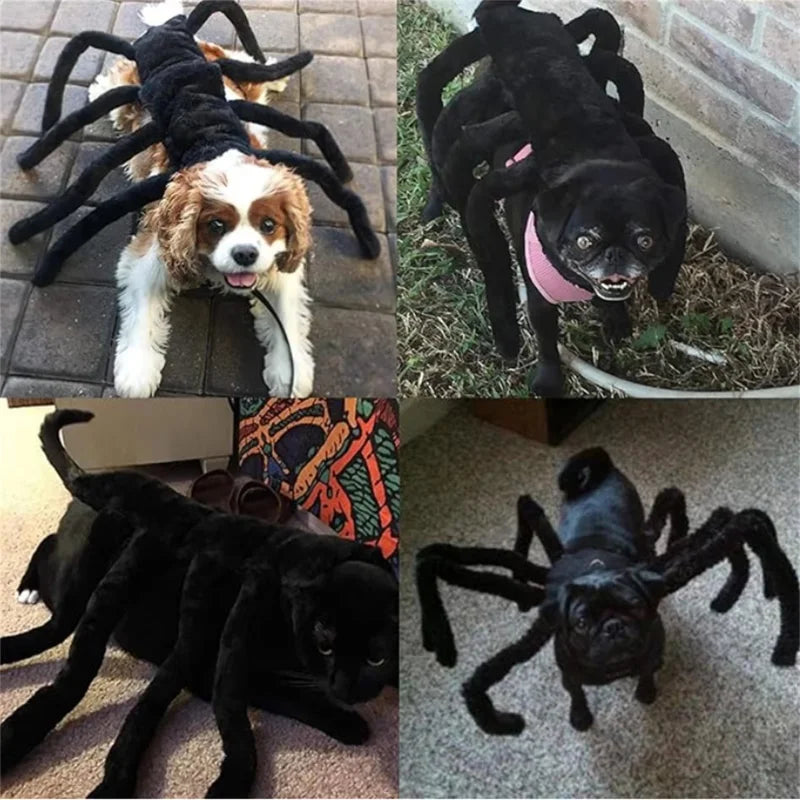 Halloween Spider Pet Costume