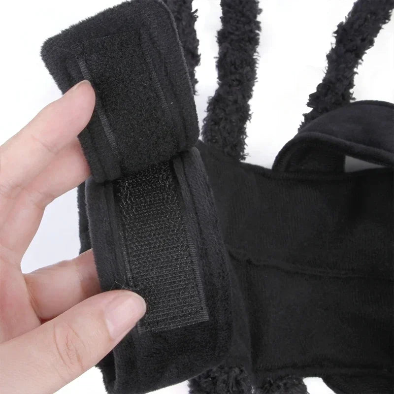 Halloween Spider Pet Costume