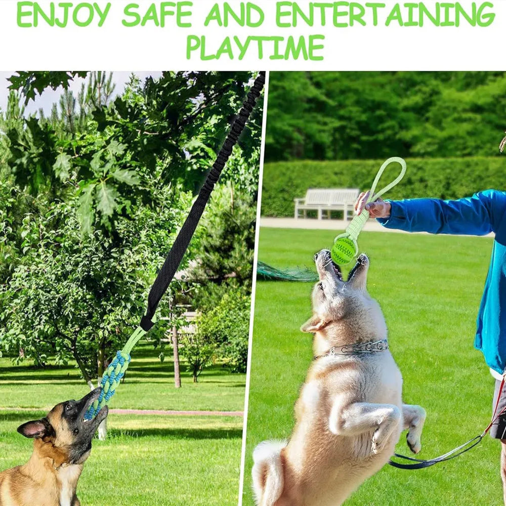 Interactive Tug-of-War Dog Toy