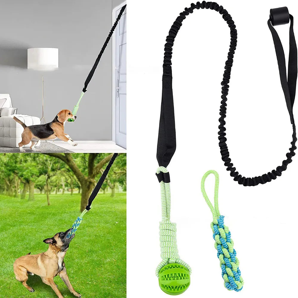 Interactive Tug-of-War Dog Toy