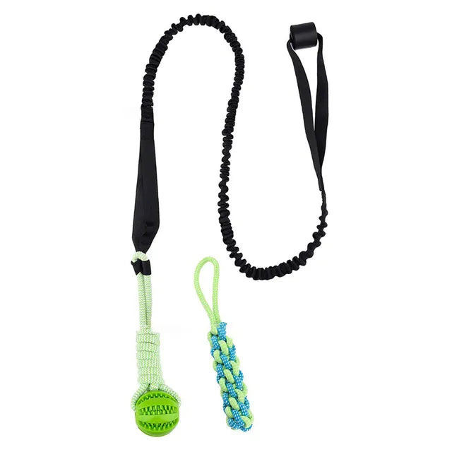 Interactive Tug-of-War Dog Toy