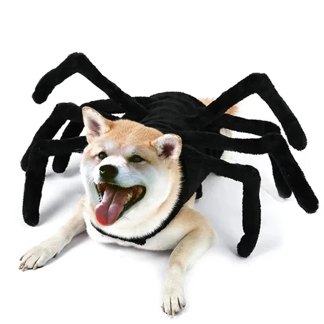 Halloween Spider Pet Costume