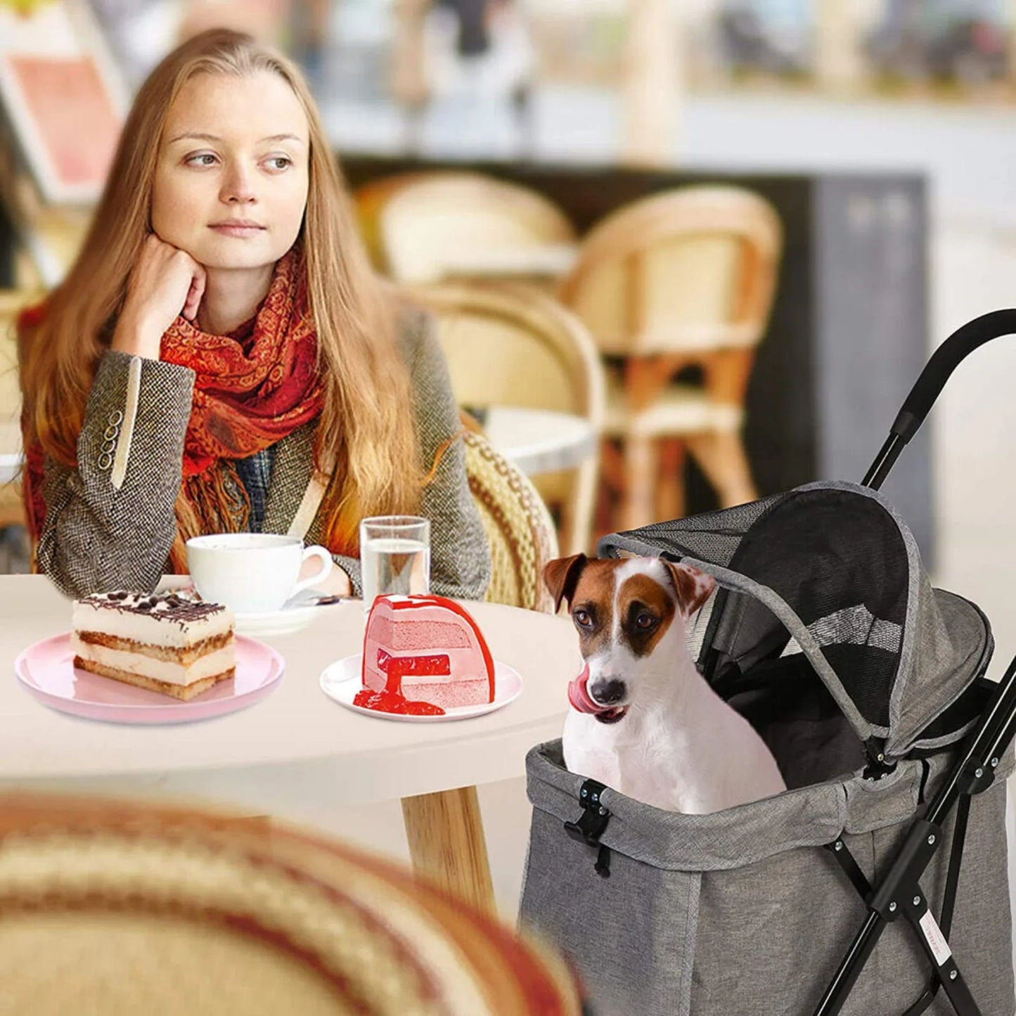 4-Wheel Pet Stroller